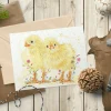 Connie and Clyde the Chicks Blank Greetings Eco Card