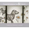 Dog & Daisy Set of 3 Round Caddies