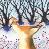 Fox and Robin Pack of 6 Christmas Cards