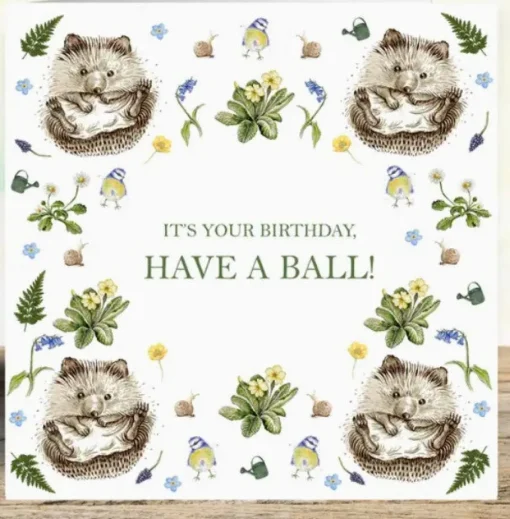 'Have A Ball' Hedgehogs Birthday Card