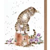 'Hide and Squeak' Cat and Mouse Greetings Card