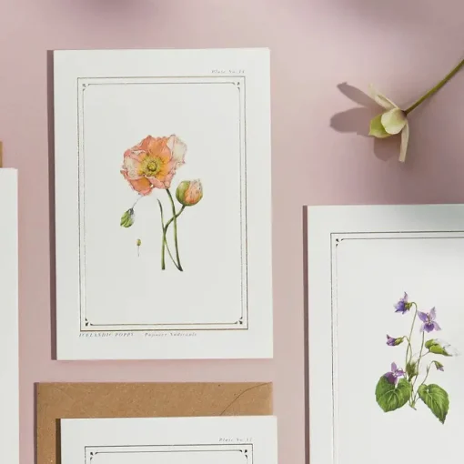 Icelandic Poppy - 'Botanical Archive: Everyday Edition' - card