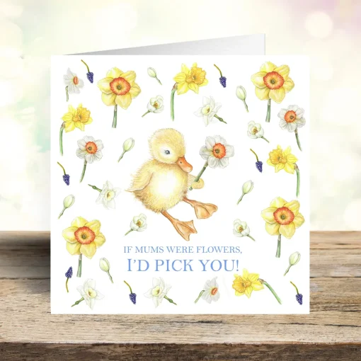 'I'd Pick You' Duckling & Daffodils Mother's Day Card