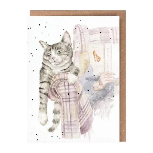 'Lazy Sunday' Cat Greetings Card