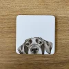 Lenny Labrador Coaster