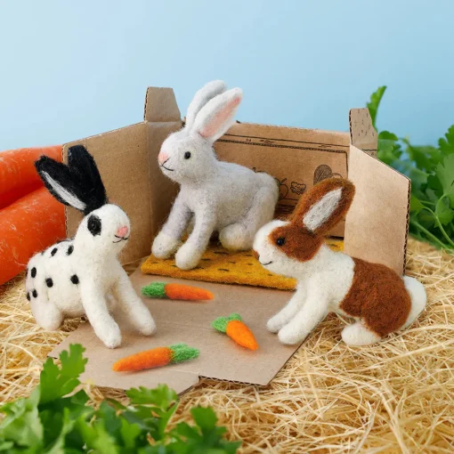 Lettuce Rabbit with Carrot Nibbles