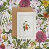 Nasturtium - 'Botanical Archive: Everyday Edition' - card