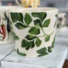 Parsley Plant Pot