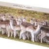 "All Ears" All Butter Shortbread Squares 150g