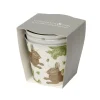 Rabbit & Cabbage Set 3 Round Tin Herb Pots