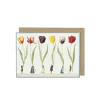 Tulip Parade Greetings Card