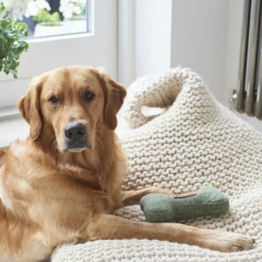 Tweed Dog Bone Shaped Dog Toy - Green