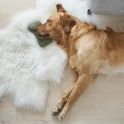 Tweed Dog Bone Shaped Dog Toy - Green