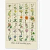 Wildflowers Greetings Card